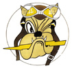 61st Fighter Squadron