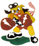 62nd Fighter Squadron